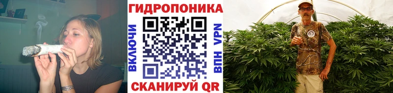 Магазины продажи наркотиков Пестово Марихуана СОЛЬ Гашиш Псилоцибиновые грибы Меф