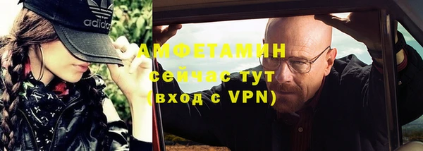 стаф Вязьма