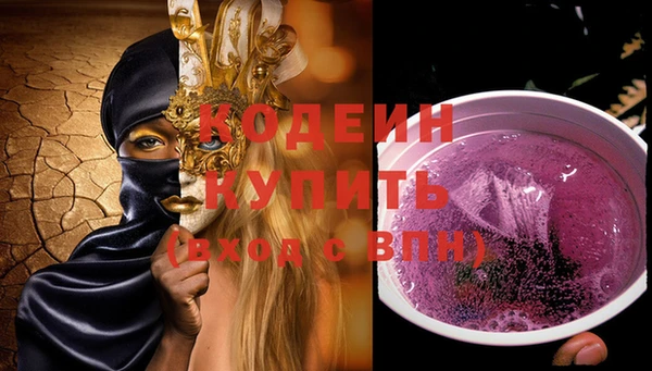 стаф Вязьма