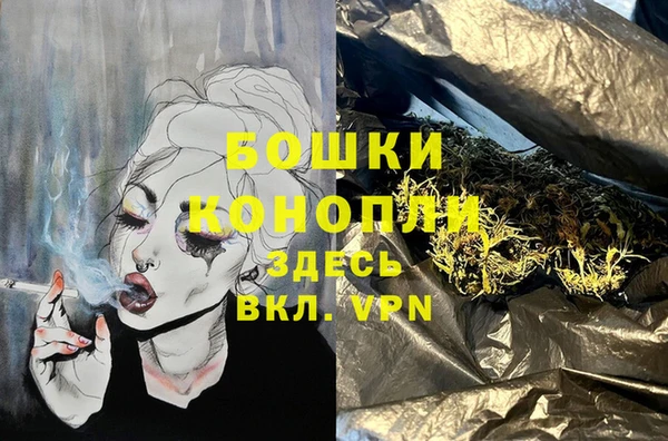 стаф Вязьма