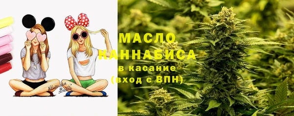 прущая мука Вяземский
