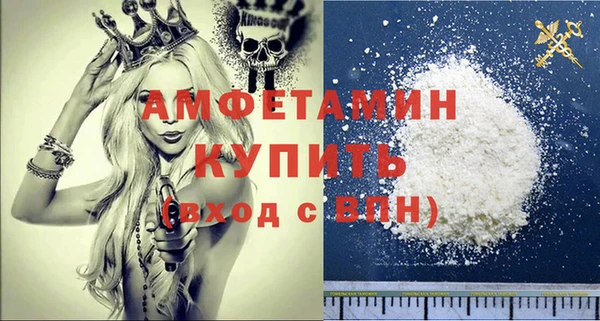 прущая мука Вяземский